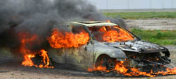 Motor Vehicles: Investigation